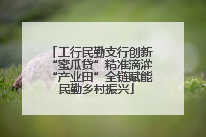 工行民勤支行创新“蜜瓜贷”精准滴灌“产业田”全链赋能民勤乡村振兴